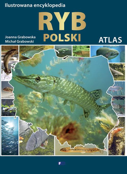 

Ilustrowana encyklopedia ryb Grabowska, Grabowski