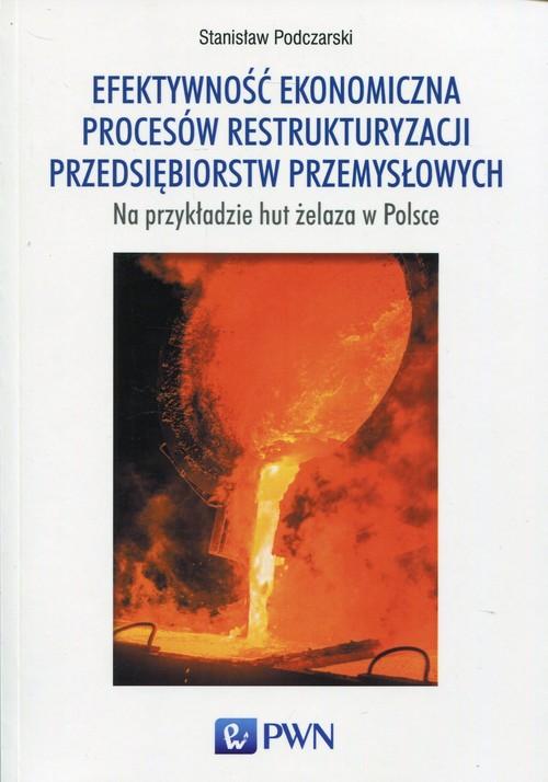 

Efektywność ekonomiczna procesów... Podczarski