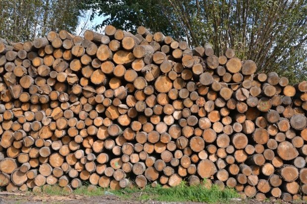 DREWNO OPAŁOWE WAŁEK -WARSZAWA i okolice Typ produktu drewno