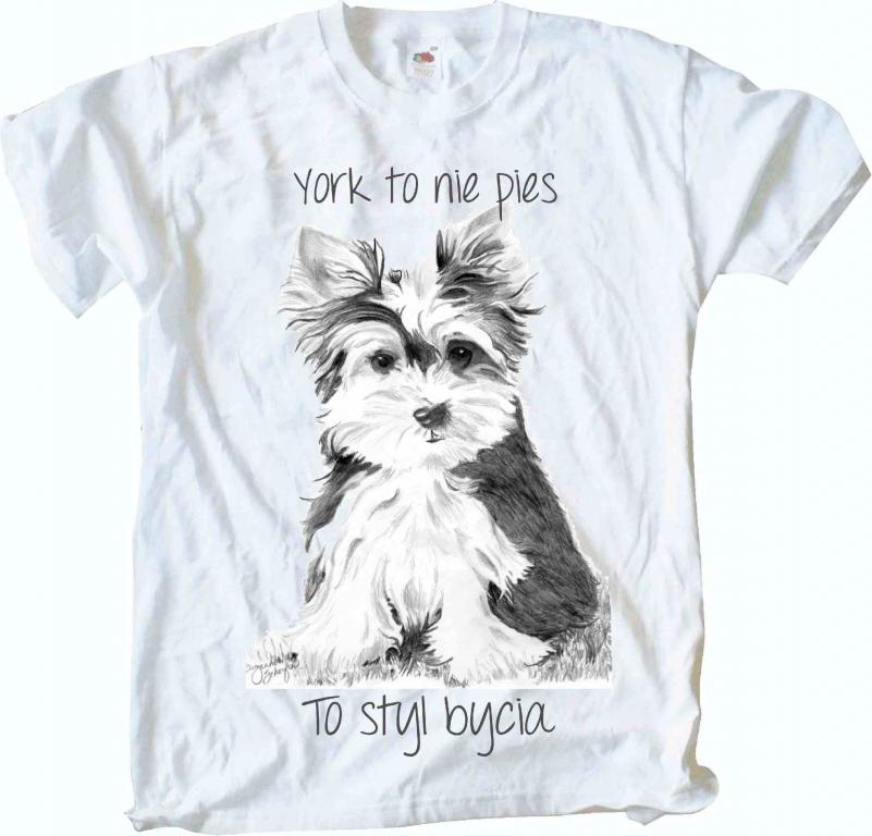 

York Terier, T-shirt, Koszulka