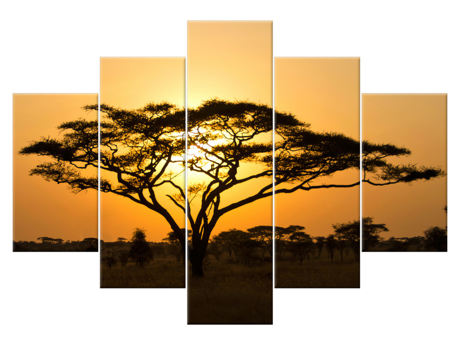 

Obraz Pejzaż Akacja w Serengeti 150x105 płótno