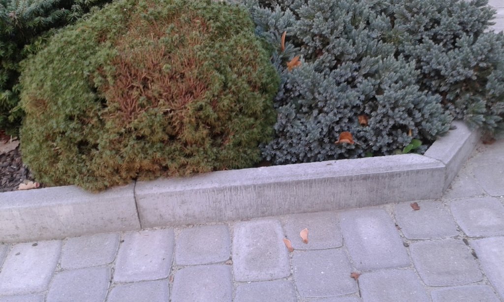 

Krawężnik obrzeże betonowe chodnikowe 100x25x5