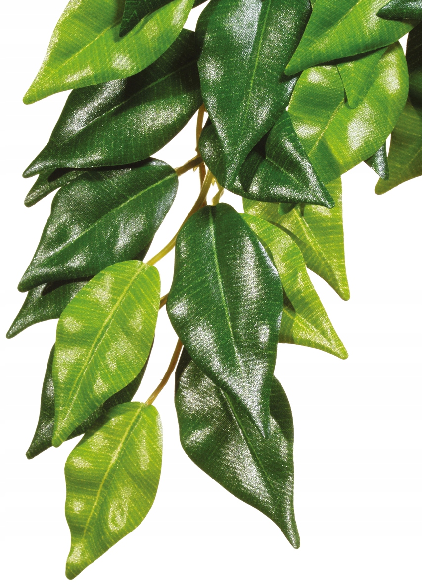 

Hagen Roślina sztuczna Ficus L EX-0506