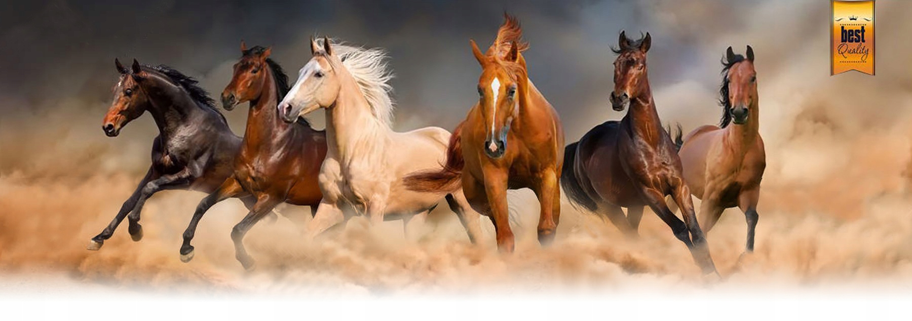 PRZEDŁUŻKA DO POPRĘGU SKÓRZANA CZARNA Model PRZEDUŻKA