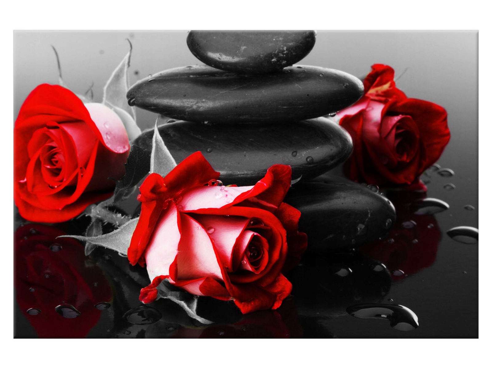 

Obraz Roses and spa 60x40 Kwiaty 1400A_1E ścianę
