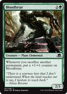 Mtg 4x Bloodbriar
