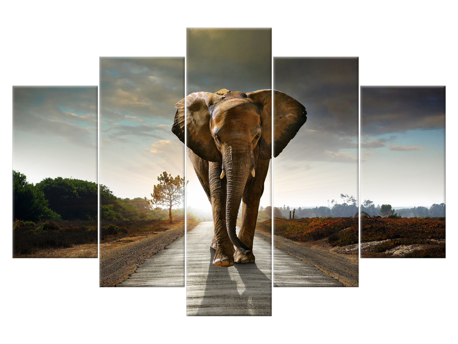 

Obraz na płótnie Słoń Zwierzęta 150x100 2479A_5G