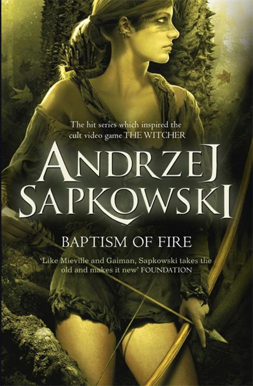 Baptism of Fire Sapkowski Andrzej