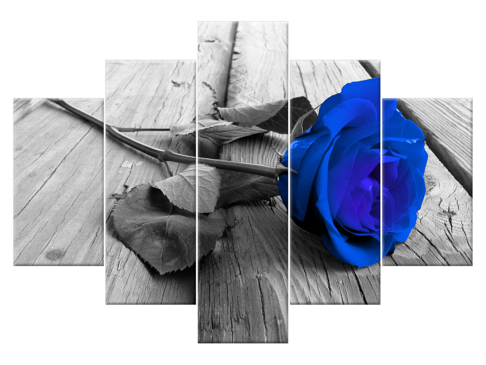 

Obraz Chabrowa różyczka 150x105 Róża 2214A_5H