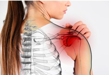 STABILIZATOR OPASKA BARK MAGNETYCZNA (B) rozm. M Rodzaj ściągacze na bark