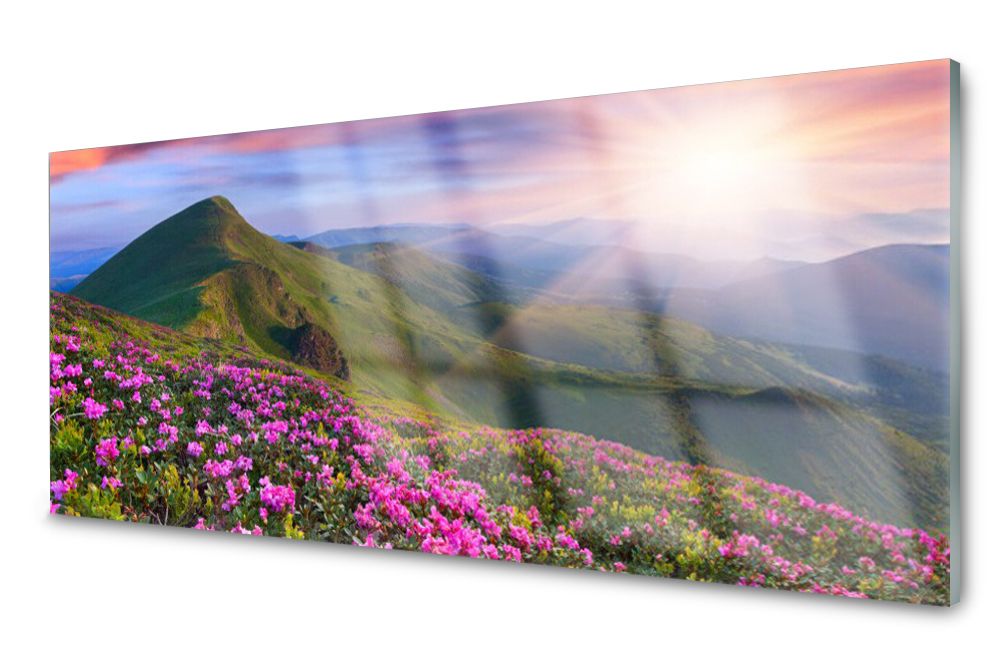 

Lacobel Panel Ścienny Foto Góry Łąka Kwiaty 120x60