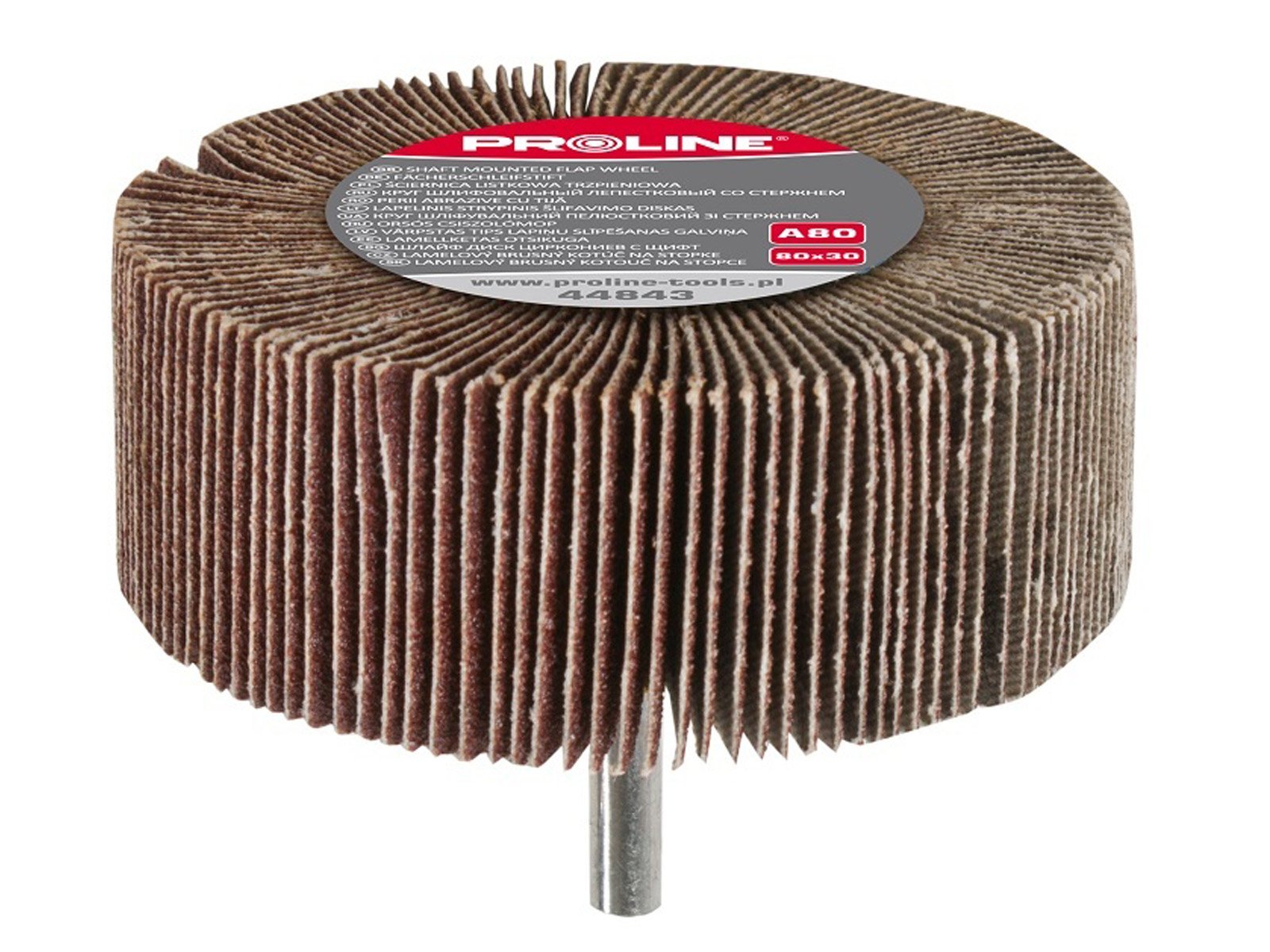 

Proline Trzpieniowa ściernica listkowa 80x30 g 40