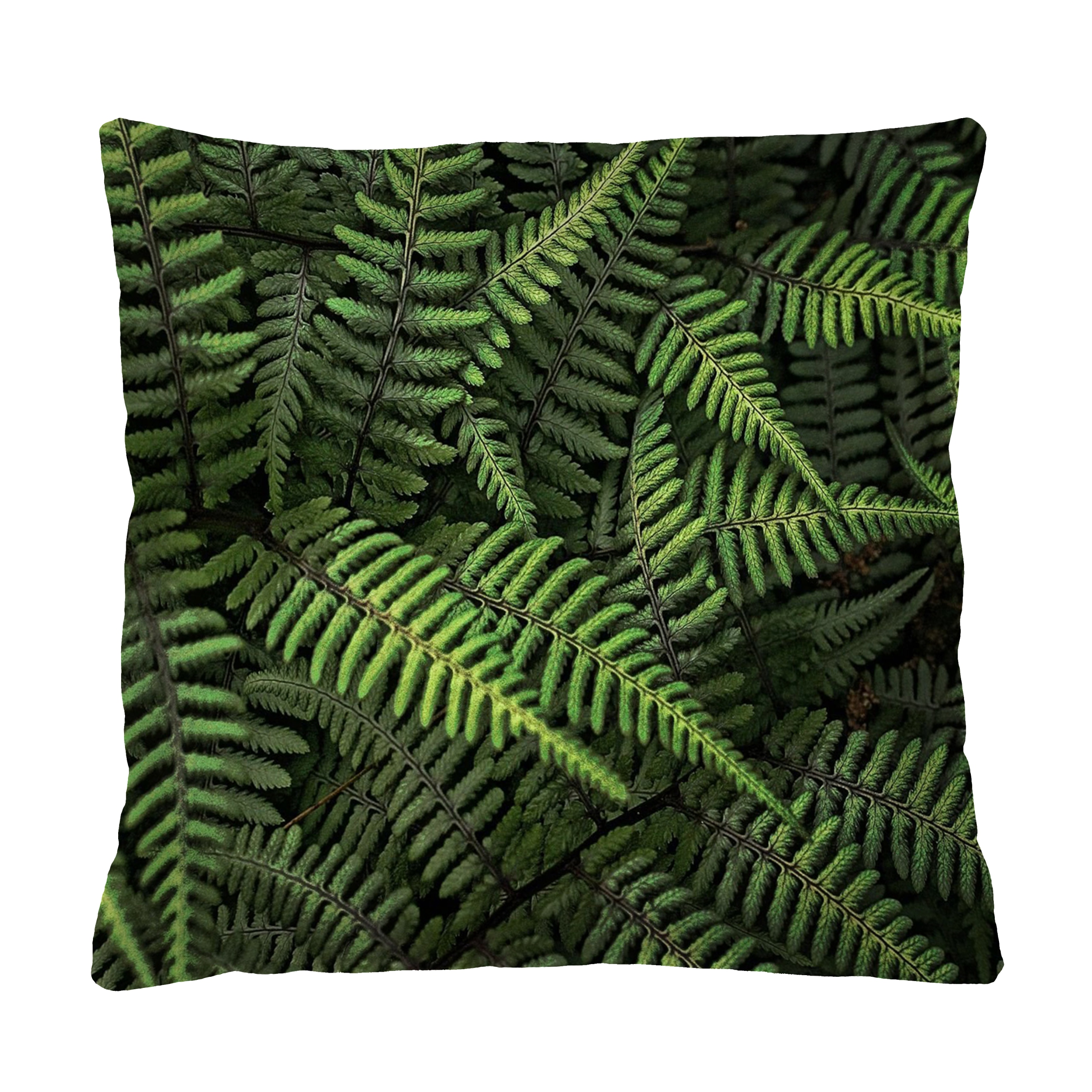 

Poduszka z wkładem Bertoni 40x40 Paprocie