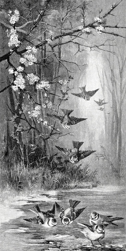 

Fototapeta Abstrakcja Grafika Szkic Przyroda Natur