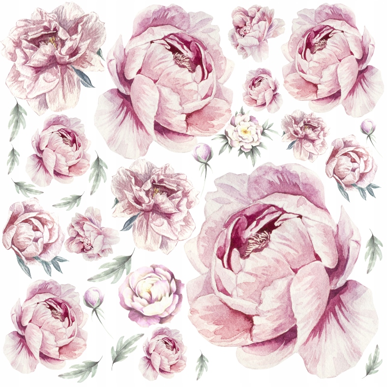 

Piwonie kwiaty Peonie Naklejki na ścianę 120x120cm