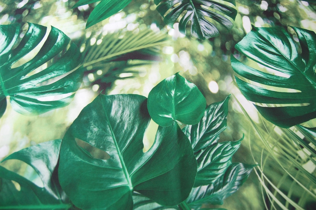 

Tkanina zasłona oxford Las Liscie Monstera zielona
