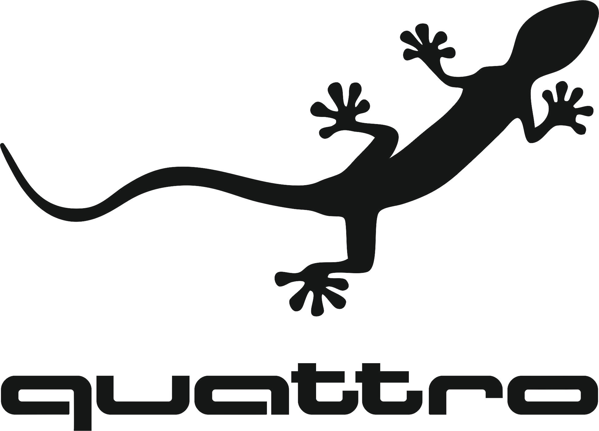 Логотип Audi quattro геккон