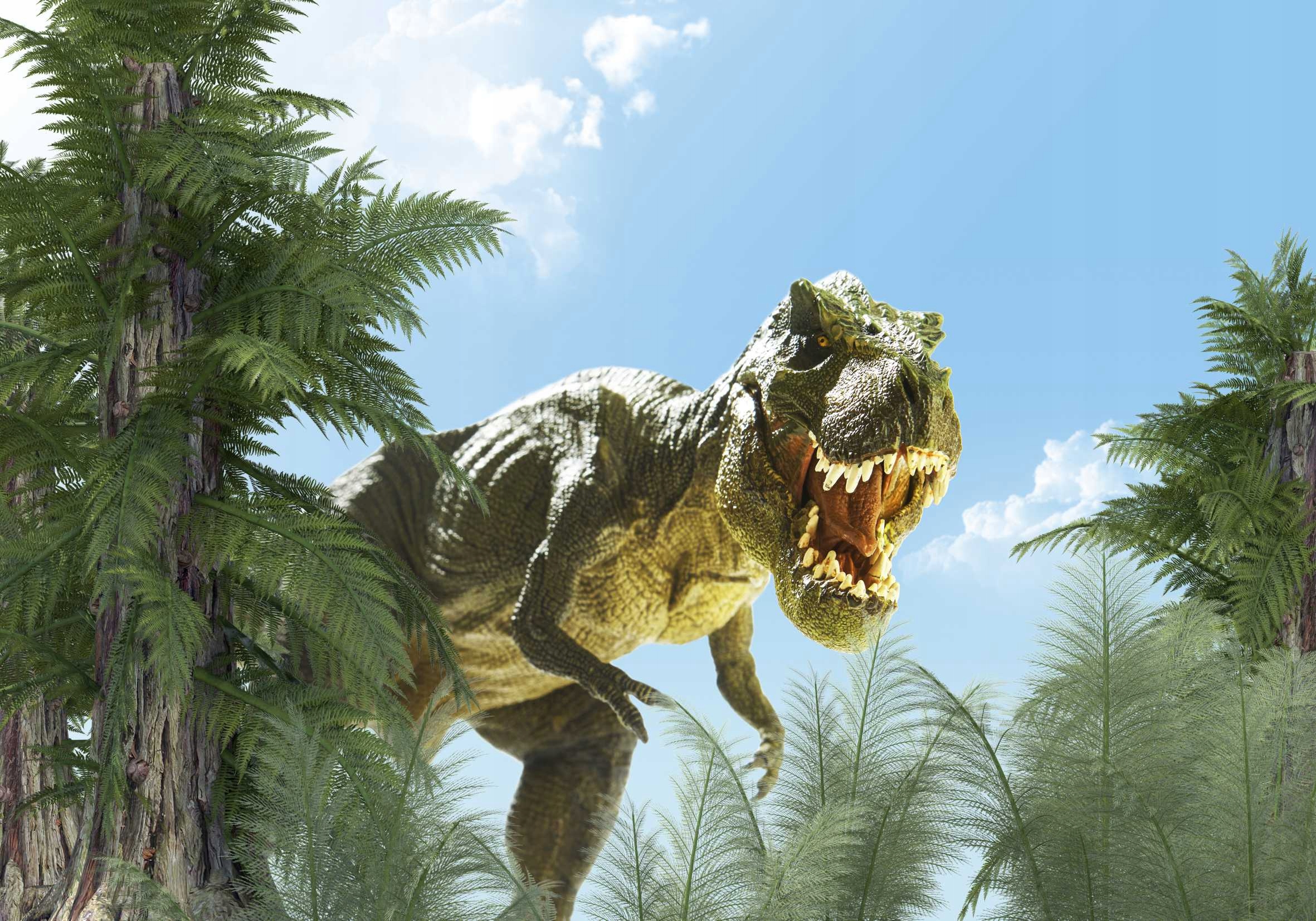 

Plakat Poster Dinozaur Dinozaury 90x60 Wybór