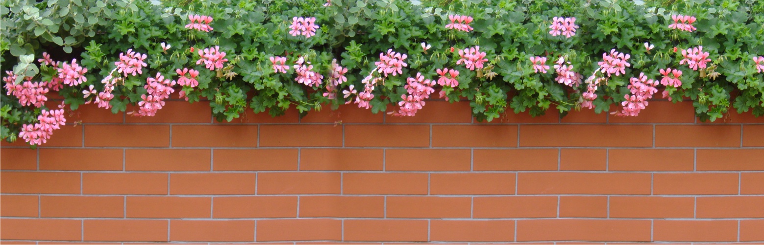 OSŁONA NA BALKON nadruk PELARGONIE NA CEGIEŁKACH Marka inna