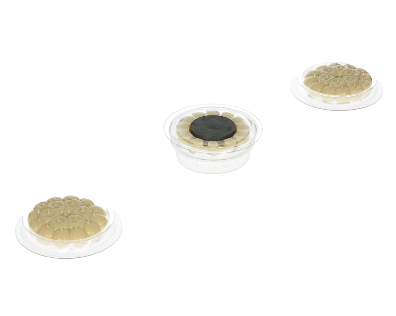 ŻEL PRZECIW GOŁĘBIOM PTAKOM ODSTRASZACZ GOŁĘBI WERSJA Z MAGNESEM BIRD FREE Marka Defenders