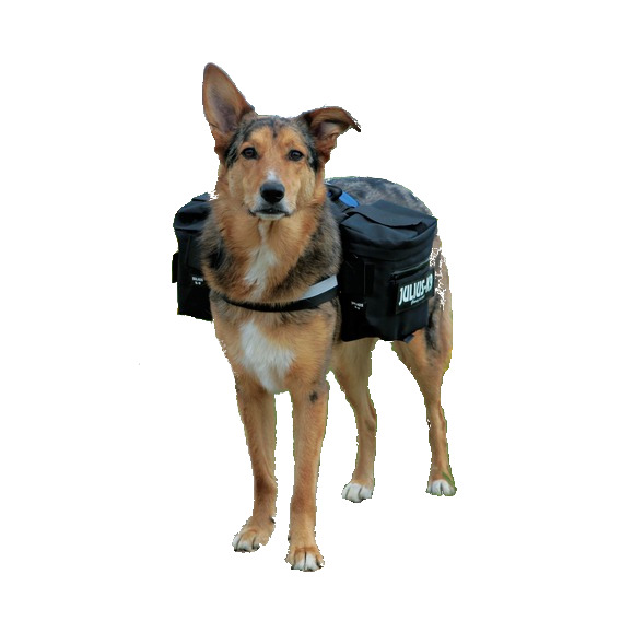 

Torba Siodłowa Do Szelki Julius K-9 L/XL