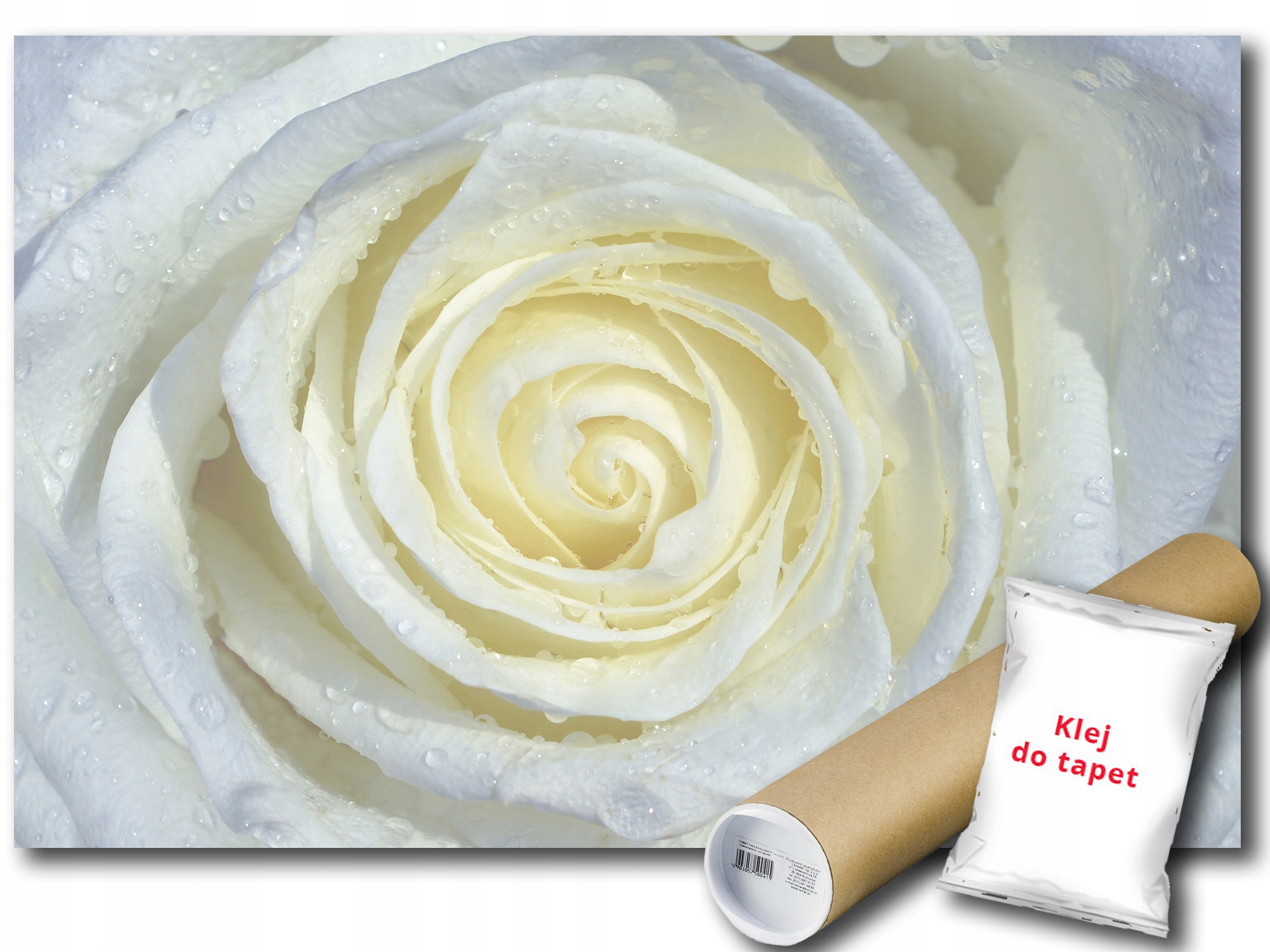 Fototapeta Biela Ruža Rosa 9B F3XL 416x254 F663