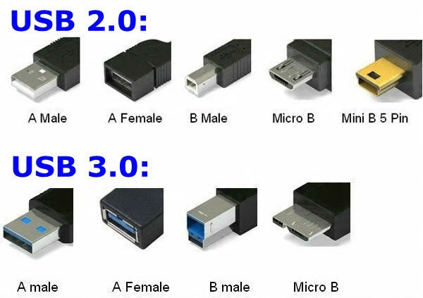 Cable Usb 2.0 Tipo A - B Mini Usb (5pin) 3m Ak-300108-030-s con