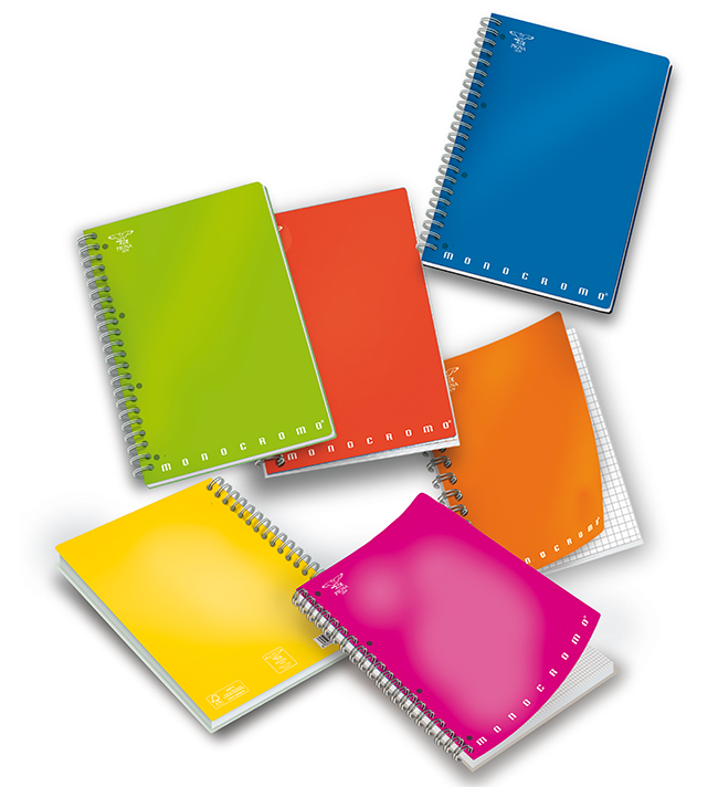 KOŁONOTATNIK KOŁOZESZYT A4 PIGNA MONOCROMO 0215555 Marka Inna