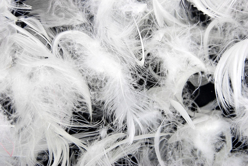 PODUSZKA PUCHOWA 70X80 GĘSI PUCH NATURALNA LUX Długość 80 cm