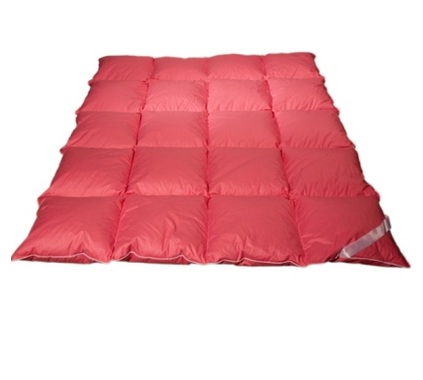 

Kołdra Puchowa 160x200 2,5kg Producent 2KOLORY-50%