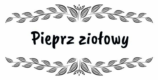 

Etykiety naklejki przyprawy zioła 132 szt