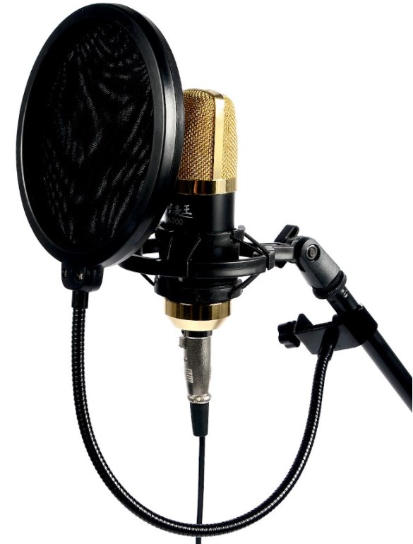 STUDYJNY POP FILTR FILTER MIKROFONOWY PS1 OSŁONA Kod producenta PS-1