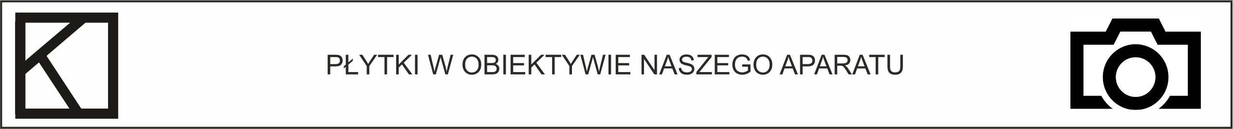 GRES MARMUROPODOBNY PŁYTKI BIAŁE WHITE 60X120cm MATOWE CALACATTA CARRARA Kolor biel