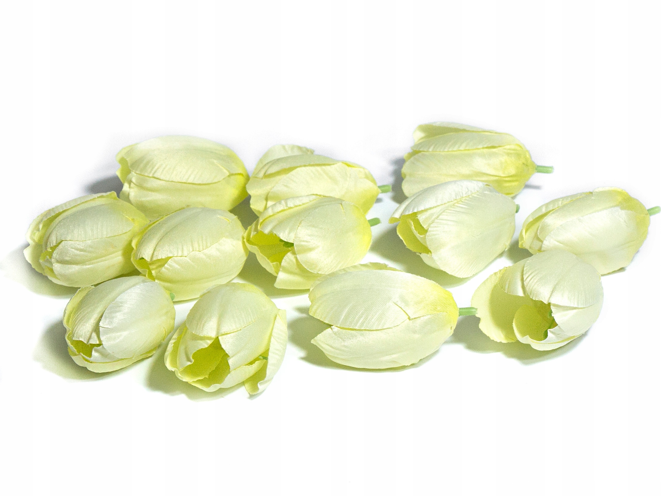 

Tulipan Kremowo Zielon Główka Wyrobowa 7cm 12sztuk