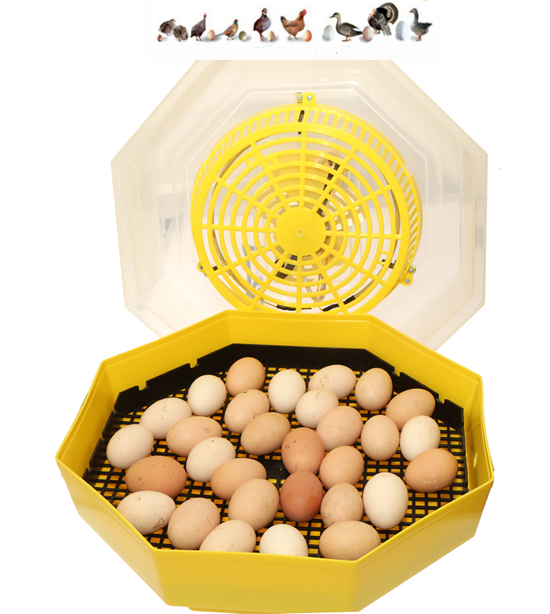 INKUBATOR 60 JAJ WYLĘGARKA KLUJNIK EAN (GTIN) 5904610558928