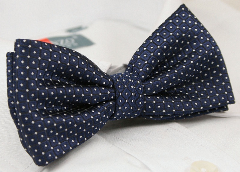 Modna mucha z poszetką - Alties Marka inna