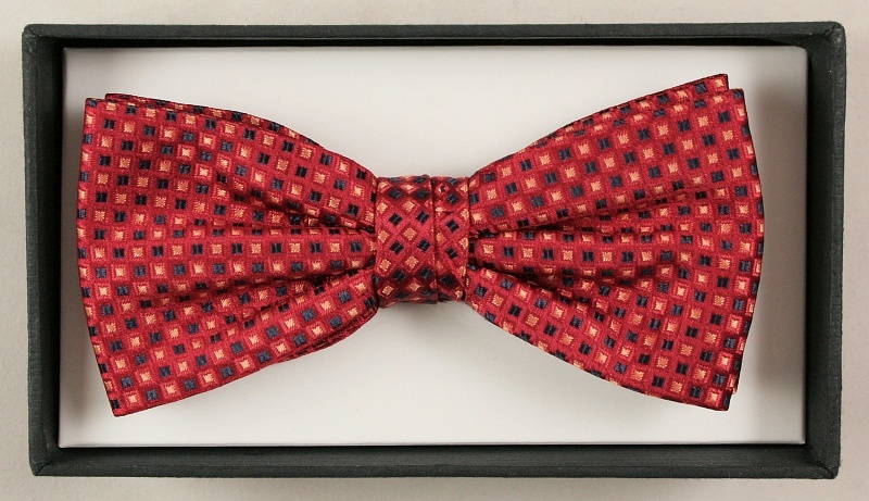 Modna mucha z poszetką - Alties Wzór dominujący inny wzór