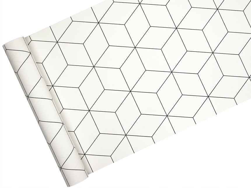 

Tapety kontury sześcianu, Geometryczna Siatka