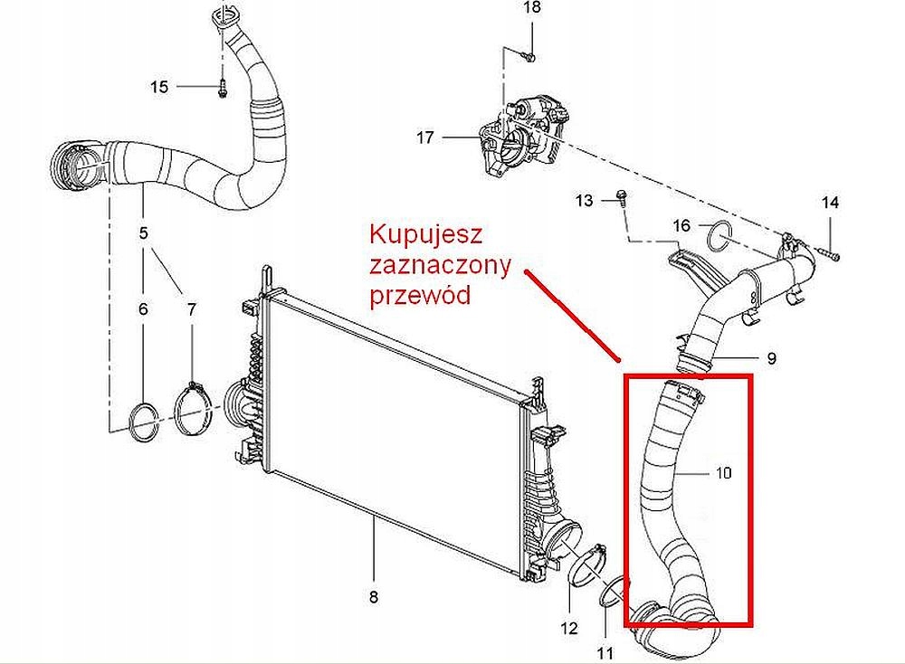 Клапан радиатора охлаждения. Шланг радиатора Опель Инсигния турбо. Патрубок радиатора Опель Инсигния 2.0 турбо. Шланг интеркулера Опель Инсигния. Радиатор Опель Инсигния 2.0 турбо.