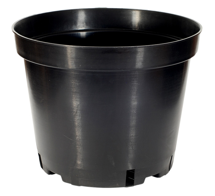 

Doniczka produkcyjna szkółkarska 31/24 12L 1szt
