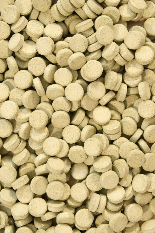 Levně Vegetaltablet Krmivo Pro Ryby 1000 G