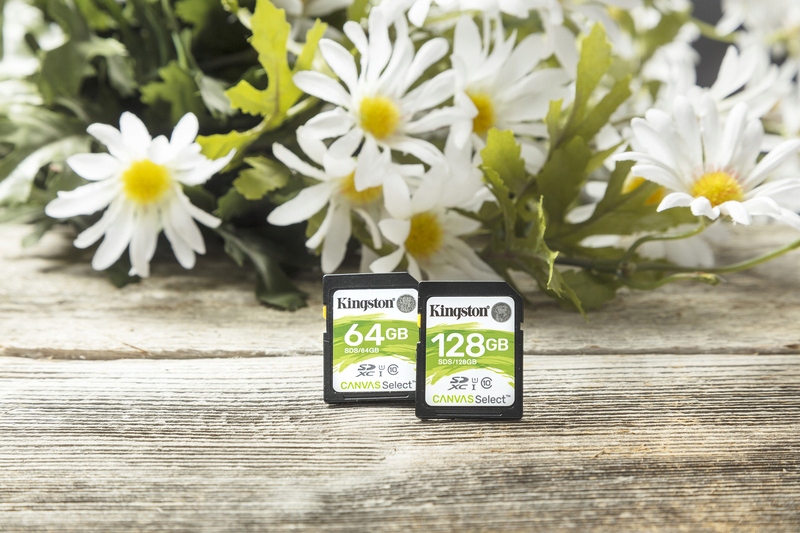 Karta KINGSTON SD 64GB CLASS 10 UHS +45MB/s + USB Format karty SD