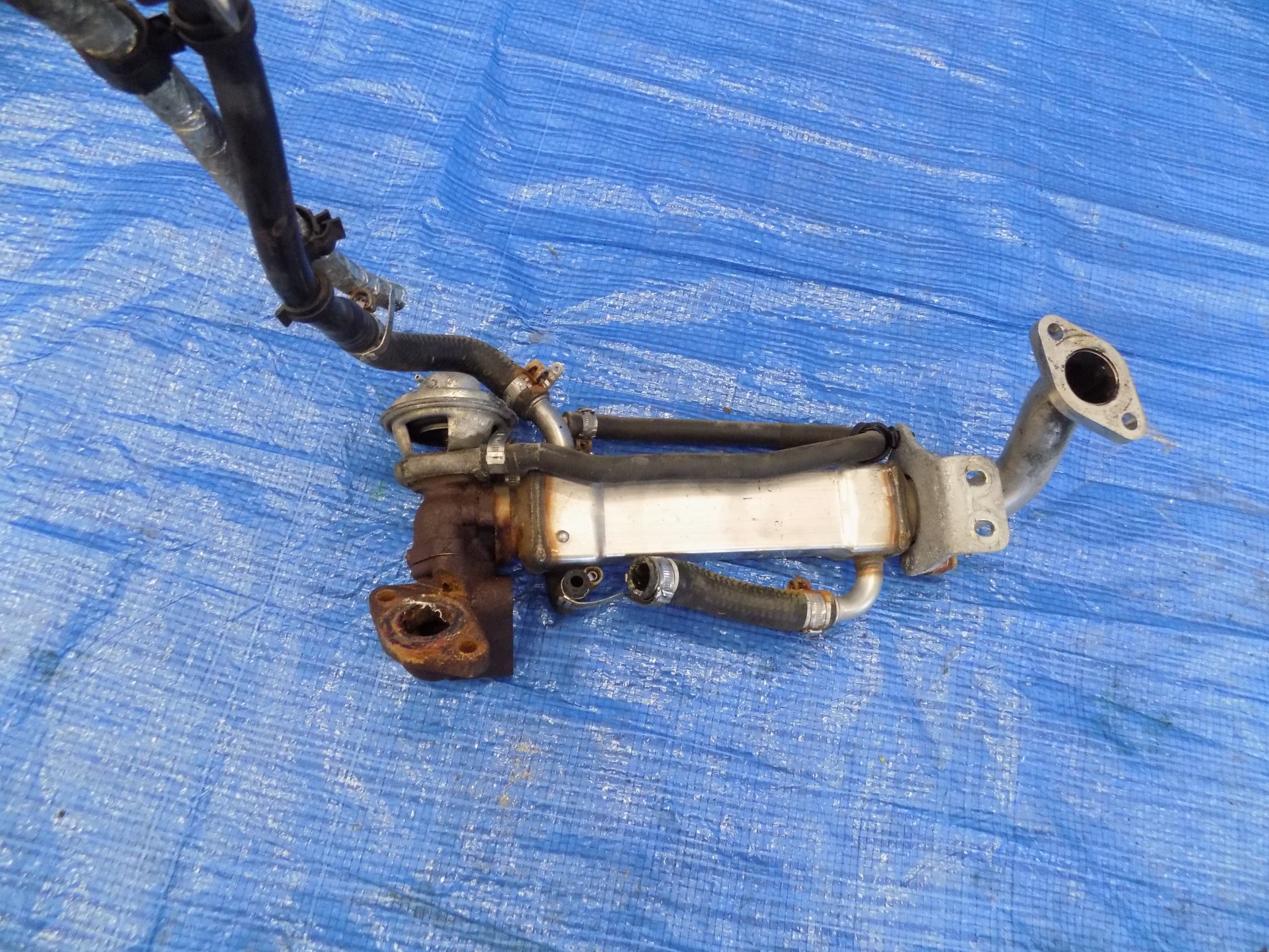 DAILY 06 CHLODNICZKA SPALIN EGR 504158592 2 3 HPI