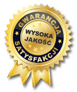 PENDRIVE USB 64 GB PORSCHE POMARAŃCZOWY SAMOCHÓD Interfejs USB 2.0