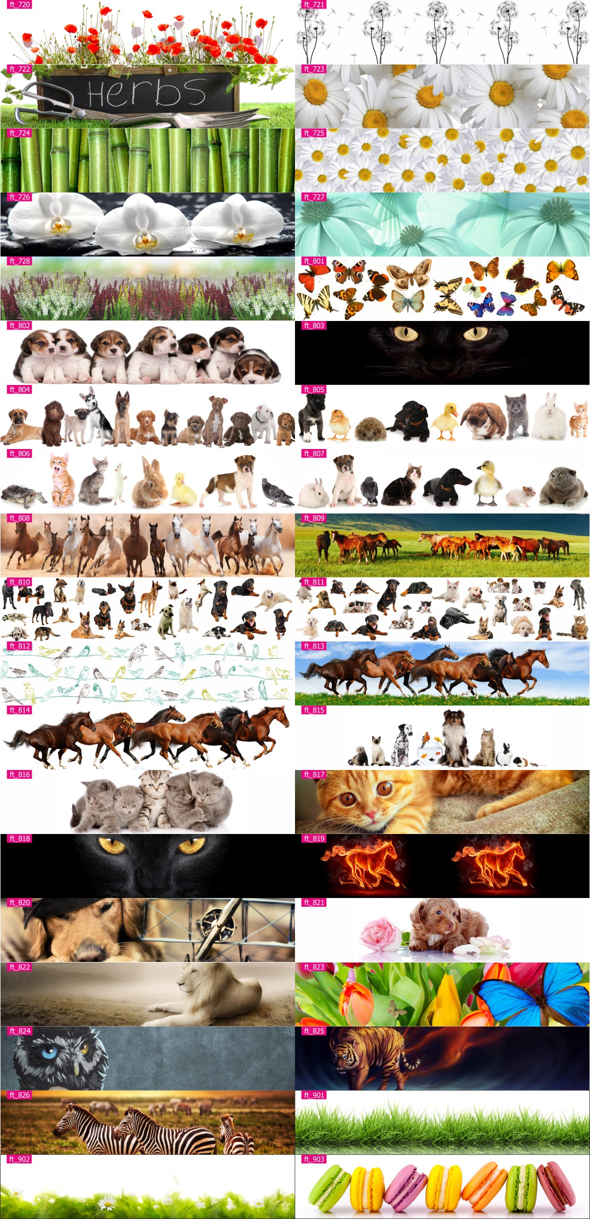 FOTOTAPETA DO KUCHNI OKLEINA KUCHENNA LAMINOWANA Orientacja pozioma