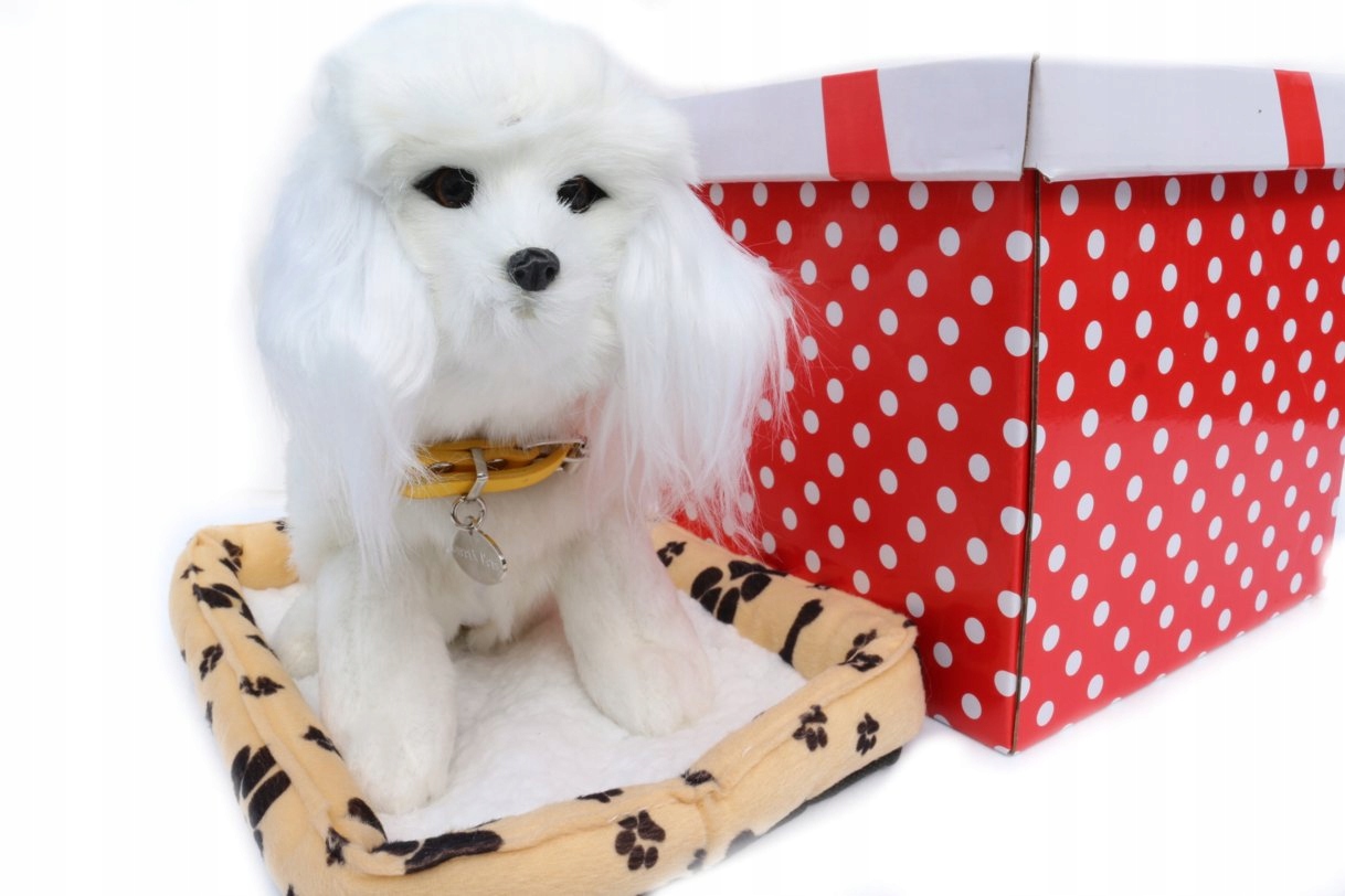 MOPSPIES INTERAKTYWNY SZCZEKA MASKOTKA MASKOTKA Certyfikaty, opinie, atesty CE EN 71