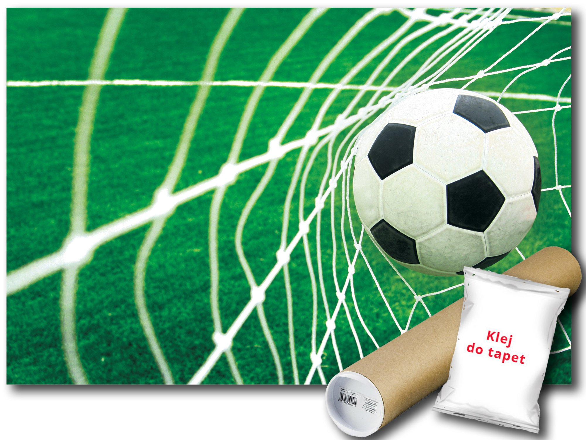 

Fototapeta Piłka Nożna 13A Fl 152x104 F015