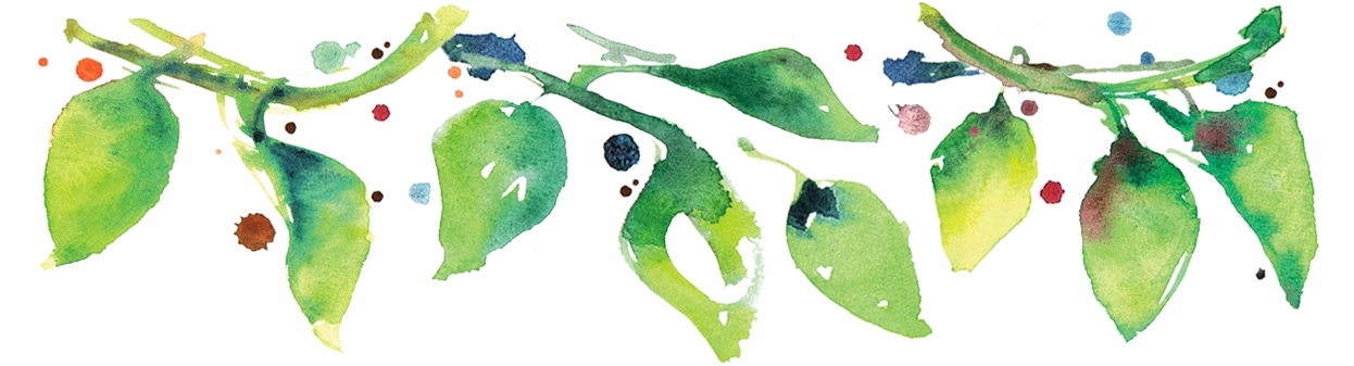 BIO słonecznik ŁUSKANY ziarno 1 kg Batom Waga 1000 g