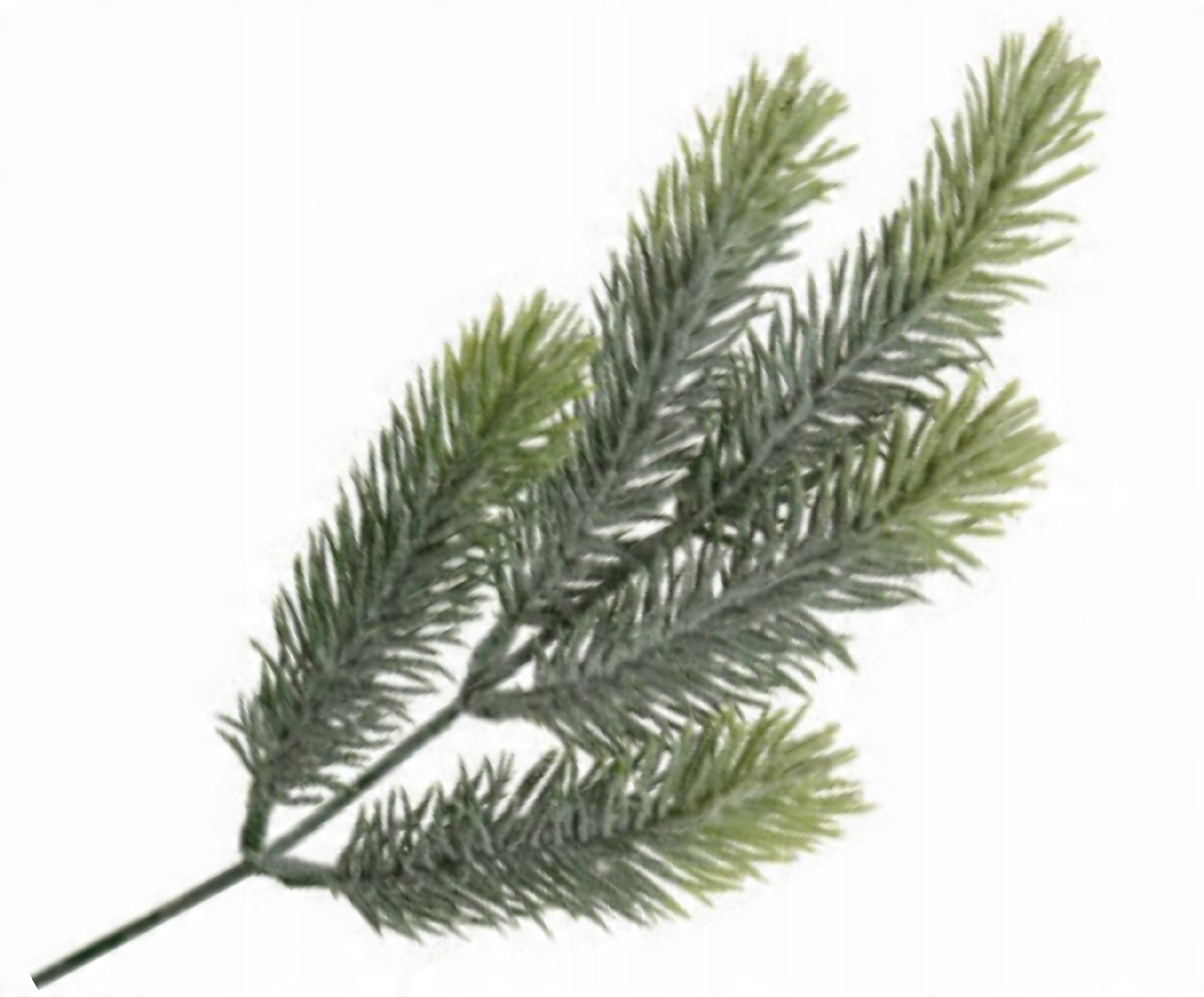 

Gałązka Choiny Pudrowana Świerk 23cm
