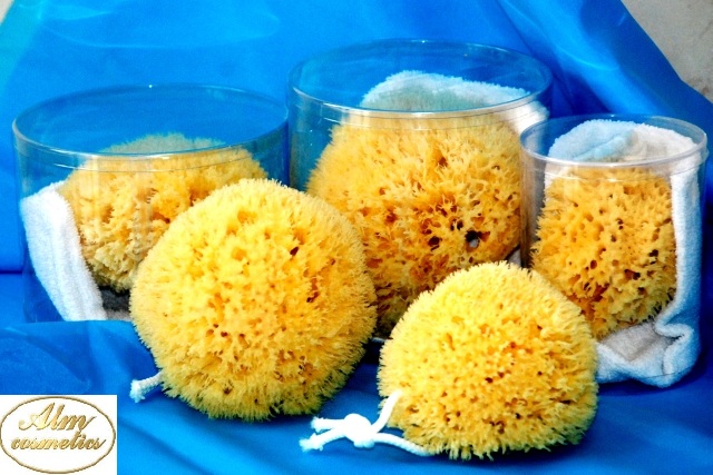 Gąbka MORSKA Naturalna HONEYCOMB Jakość 1 GM 5 Marka Alm Cosmetics